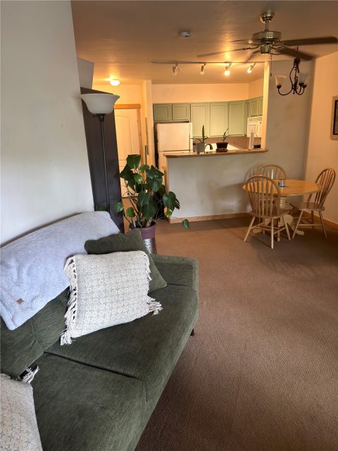 Condo in Lodge At Riverbend Condo, Frisco, CO — photo 6 (MLS S1068869)