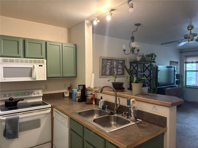 337 Streamside Lane 104 photo 8