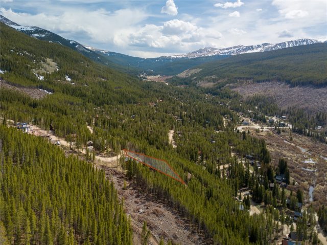 Residential in Coronet Sub, Blue River, CO — photo 6 (MLS S1068872)