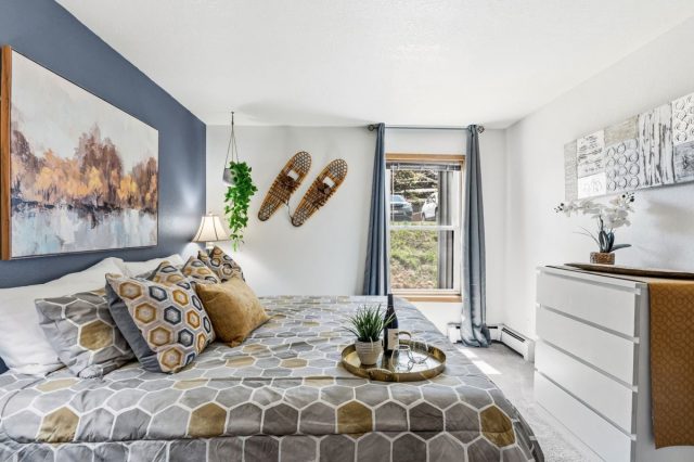 Condo in Buffalo Ridge/village Condo, Silverthorne, CO — photo 3 (MLS S1068883)