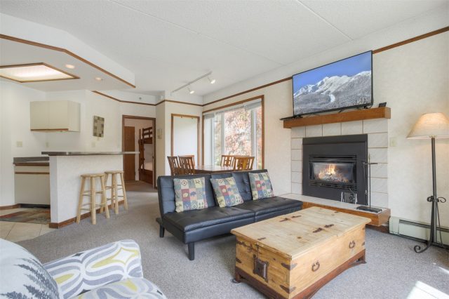 Condo in Telemark Lodge Condo, Frisco — photo 3 Condo in Telemark Lodge Condo, Frisco, CO — photo 3 (MLS S1068890)