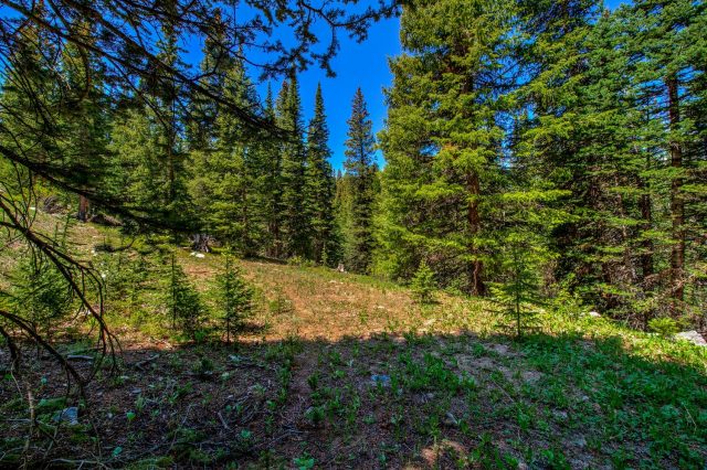 Land in Alpine Breckenridge Sub, Blue River, CO — photo 5 (MLS S1068959)