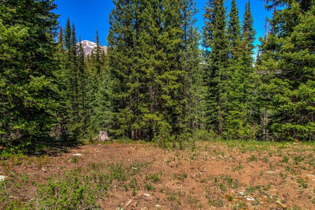 Land in Alpine Breckenridge Sub, Blue River, CO — photo 6 (MLS S1068959)