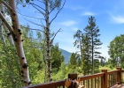 293 Caravelle Drive photo 38