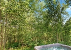 293 Caravelle Drive photo 39