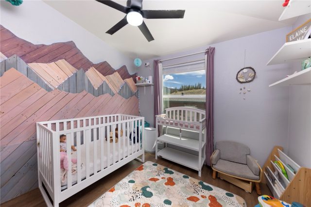 167 Pikes Peak Place photo 15