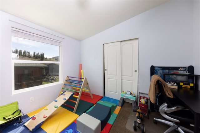 167 Pikes Peak Place photo 16