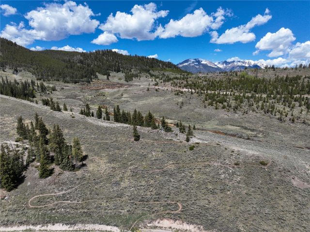 167 Pikes Peak Place photo 25