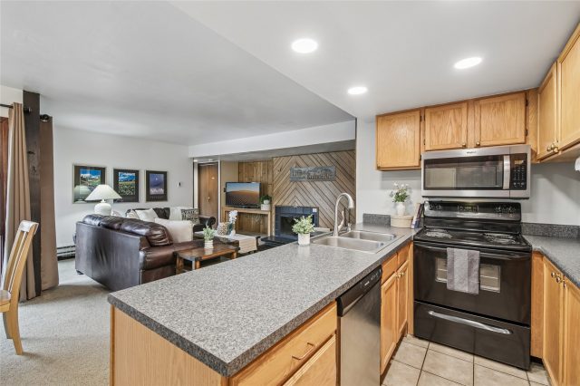 423 Wild Irishman Road 1008 + 1009 photo 10