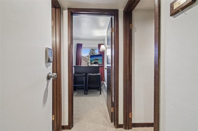 423 Wild Irishman Road 1008 + 1009 photo 23