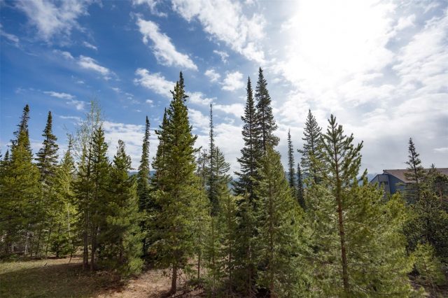 91100 Ryan Gulch Road 91105 photo 20