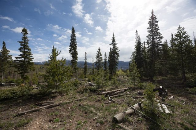 91100 Ryan Gulch Road 91105 photo 28