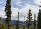 91100 Ryan Gulch Road 91105 photo 29 91100 Ryan Gulch Road 91105 photo 29