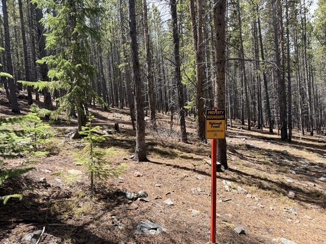 Land in Breckenridge Park Estates Sub #1, Breckenridge, CO — photo 5 (MLS S1069069)