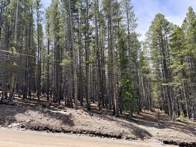 Land in Breckenridge Park Estates Sub #1, Breckenridge, CO — photo 6 (MLS S1069069)