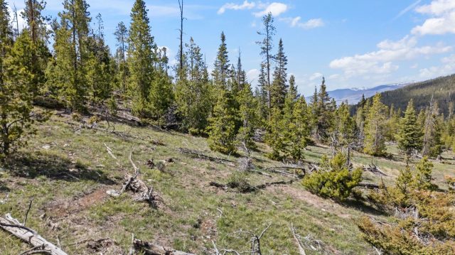 Home in Gold Hill Sub, Breckenridge, CO — photo 5 (MLS S1069079)