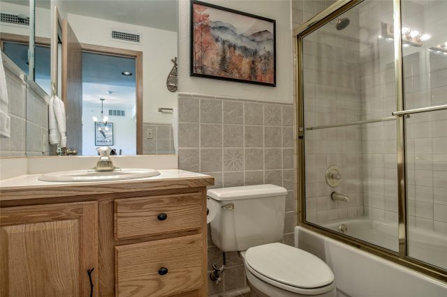 1610 Lakeview Terrace A101 photo 12