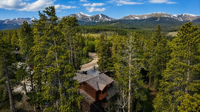 Home in Peak Seven West Sub, Breckenridge, CO — photo 3 (MLS S1069101)