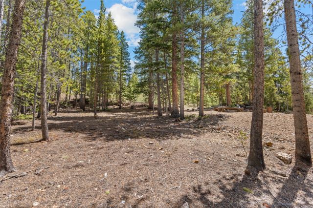 92 Emmett Lode Road B photo 42