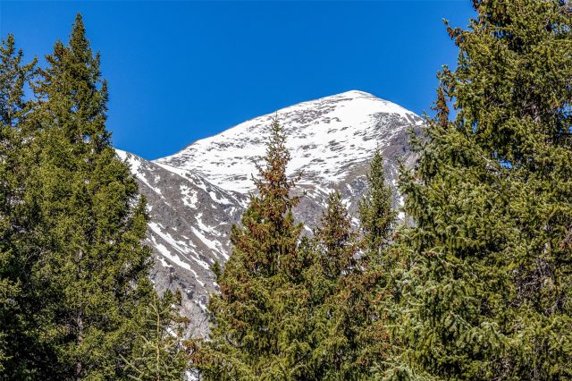 Duplex in Timber Creek Estates, Breckenridge, CO — photo 6 (MLS S1069130)