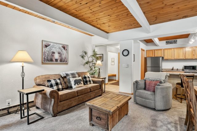 Condo in Mother Lode Condo, Breckenridge — photo 4 Condo in Mother Lode Condo, Breckenridge, CO — photo 4 (MLS S1069147)