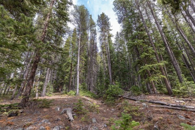 Land in Breckenridge Heights Sub, Breckenridge, CO — photo 5 (MLS S1069156)