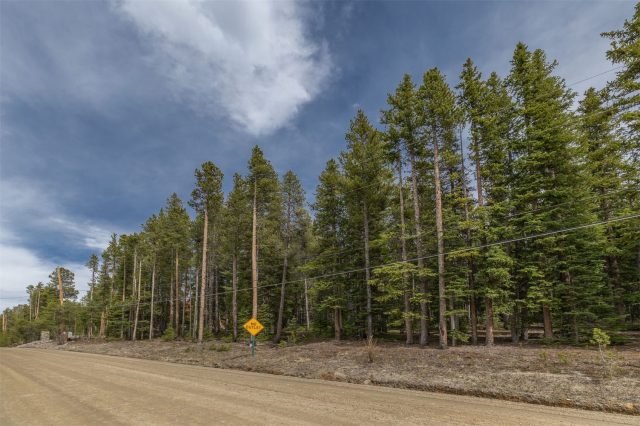 Land in Breckenridge Heights Sub, Breckenridge, CO — photo 6 (MLS S1069156)