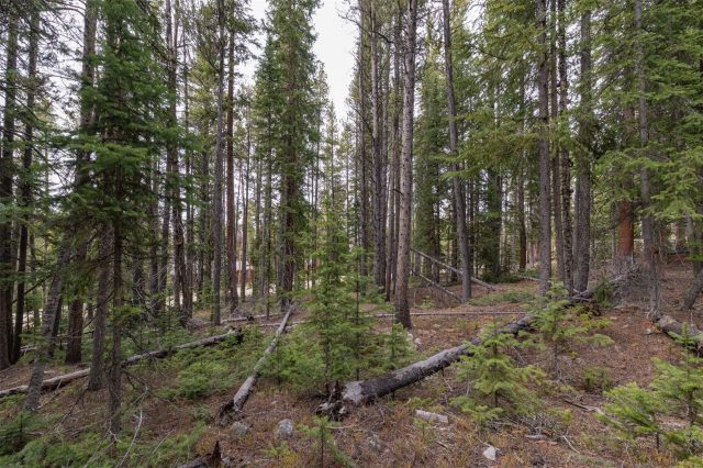 436 Moonstone Road photo 7