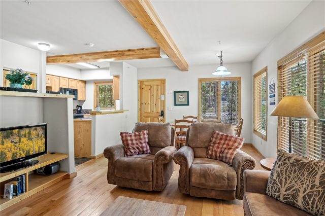 Condo in Twin Elk Lodge, Breckenridge, CO — photo 6 (MLS S1069162)