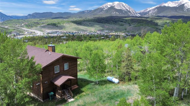Home in Government Tracts 7-5-77 Sub, Silverthorne, CO — photo 2 (MLS S1069192)