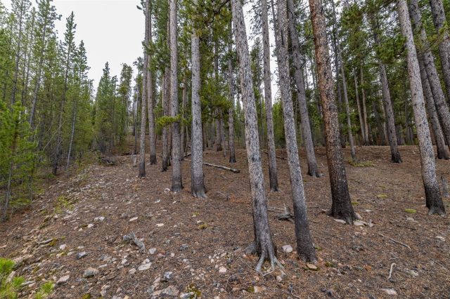 486 Moonstone Road photo 18