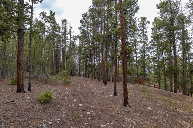 Land in Breckenridge Heights Sub, Breckenridge, CO — photo 6 (MLS S1069200)