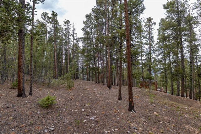 486 Moonstone Road photo 7