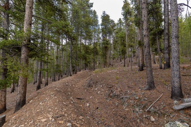 486 Moonstone Road photo 8