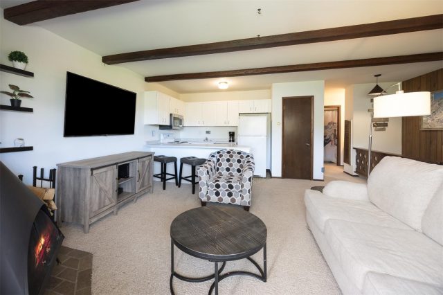 Condo in Dillon Valley Condo, Dillon, CO — photo 3 (MLS S1069204)