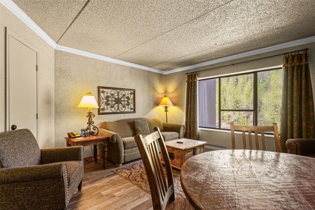 Condo in Beaver Run Condo, Breckenridge, CO — photo 5 (MLS S1069210)