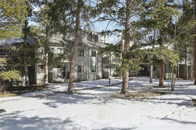 Condo in Flying Dutchman Condo, Keystone, CO — photo 3 (MLS S1069214)