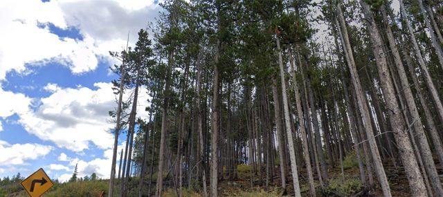 193 Blue Ridge Road, Breckenridge, CO — main photo