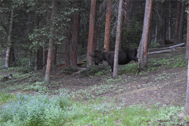 0516 County Road 674 photo 39