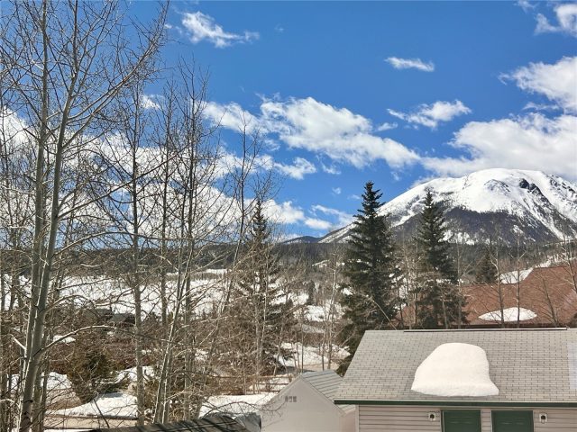 Home in Willowgrove Sub, Silverthorne, CO — photo 6 (MLS S1069353)