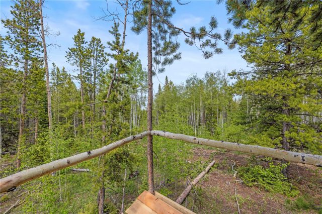 336 Blue Spruce Road photo 13