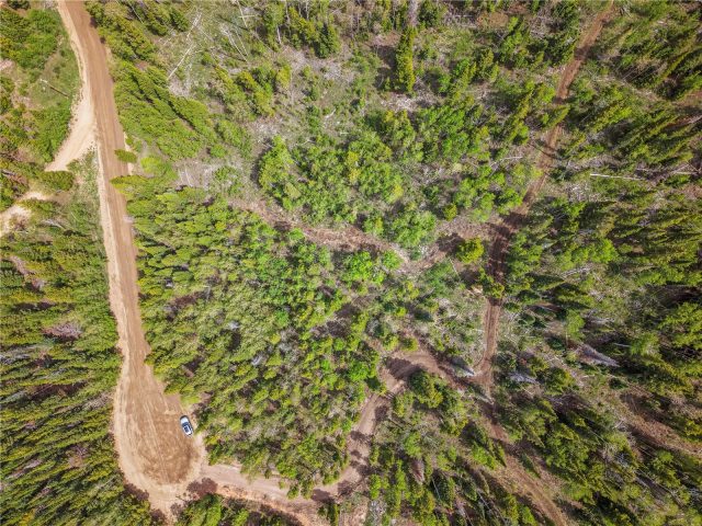 336 Blue Spruce Road photo 15