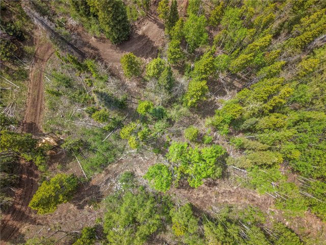 336 Blue Spruce Road photo 17