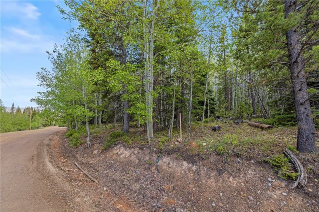 336 Blue Spruce Road photo 18