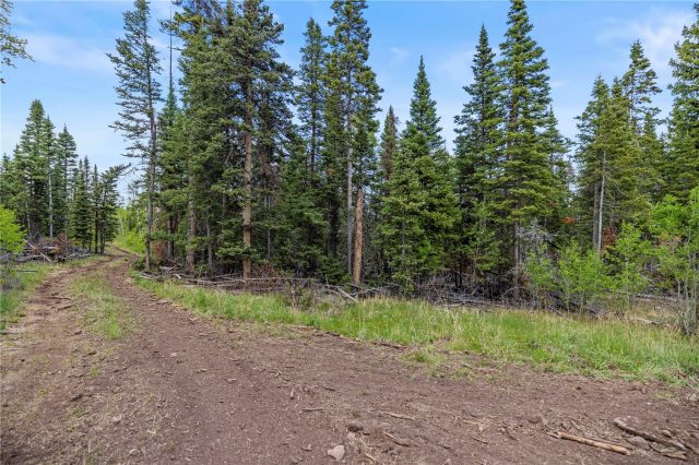 336 Blue Spruce Road photo 19