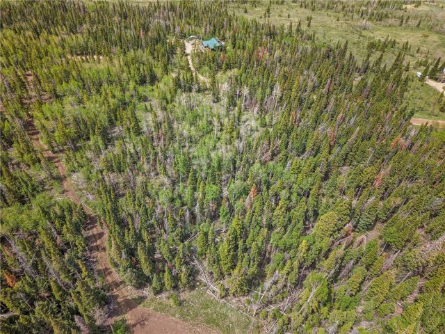 336 Blue Spruce Road photo 21
