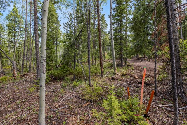 336 Blue Spruce Road photo 23