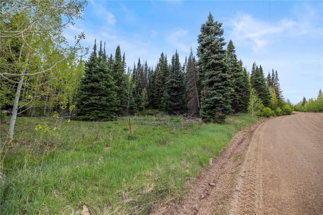 336 Blue Spruce Road photo 25