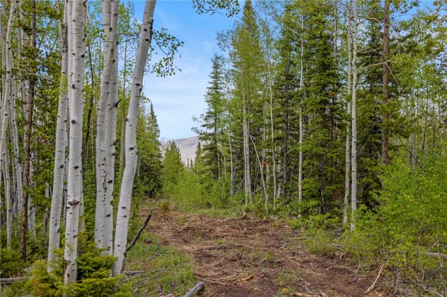 336 Blue Spruce Road photo 26