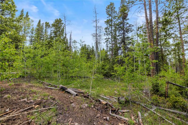 Land in Spring Creek Ranch Sub, Heeney — photo 5 Land in Spring Creek Ranch Sub, Heeney, CO — photo 5 (MLS S1069355)